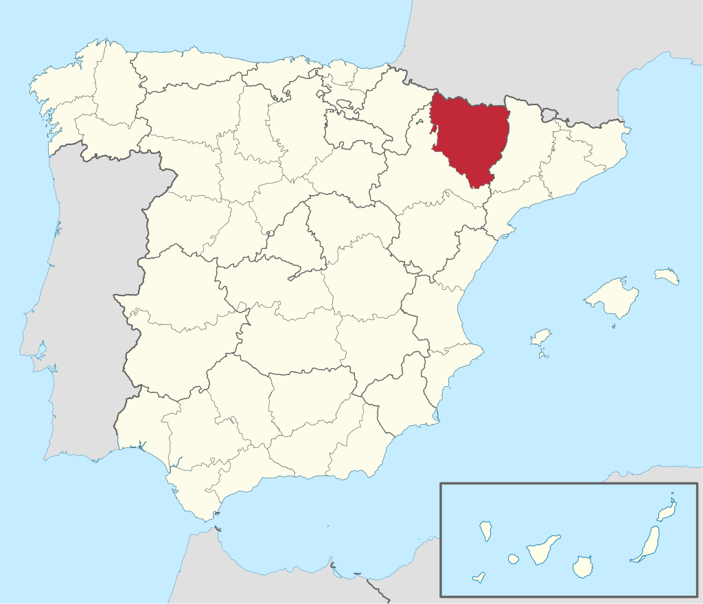 formación rcp y desa aragon teruel zaragoza huesca emerplan (2)
