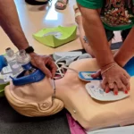 Orcajo - Curso SVB y DESA (1)