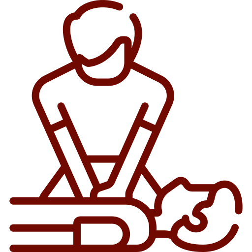 rcp desfibriladores aragón